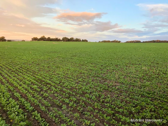 8221 Brookton Highway, Jelcobine, WA 6306-Image