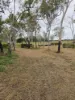 83 Days Road, Gumlu, Qld 4805-Image