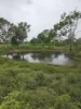 83 Days Road, Gumlu, Qld 4805-Image