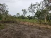 83 Days Road, Gumlu, Qld 4805-Image