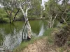 83 Days Road, Gumlu, Qld 4805-Image