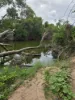 83 Days Road, Gumlu, Qld 4805-Image