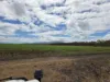 83 Days Road, Gumlu, Qld 4805-Image