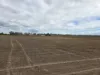 83 Days Road, Gumlu, Qld 4805-Image