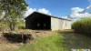 85 Spataro Road, Babinda, Qld 4861-Image