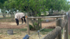 870, Harston VIC 3616-Image