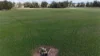 896 Fish Fossil Drive, Canowindra, NSW 2804-Image
