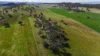 896 Fish Fossil Drive, Canowindra, NSW 2804-Image
