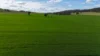 896 Fish Fossil Drive, Canowindra, NSW 2804-Image
