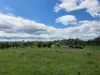 900 Youlambie Road, Monto, Qld 4630-Image