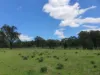 900 Youlambie Road, Monto, Qld 4630-Image
