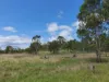 900 Youlambie Road, Monto, Qld 4630-Image