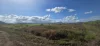 91 & 135, Mancusos Road, Lannercost, Qld 4850-Image