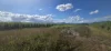 91 & 135, Mancusos Road, Lannercost, Qld 4850-Image