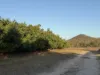 919 Leafgold Weir Road, Dimbulah, Qld 4872-Image