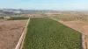 919 Leafgold Weir Road, Dimbulah, Qld 4872-Image