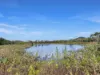 919 Leafgold Weir Road, Dimbulah, Qld 4872-Image