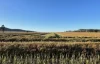 935A Nangar Road, Canowindra, NSW 2804