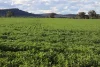935A Nangar Road, Canowindra, NSW 2804-Image