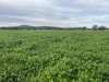 935A Nangar Road, Canowindra, NSW 2804-Image