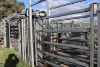 935A Nangar Road, Canowindra, NSW 2804-Image