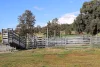 935A Nangar Road, Canowindra, NSW 2804-Image