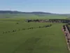 969 Mail Road, South Hummocks, SA 5550-Image