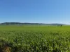 969 Mail Road, South Hummocks, SA 5550-Image