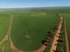 969 Mail Road, South Hummocks, SA 5550-Image