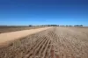_ Millar Road, Mitiamo VIC 3573-Image