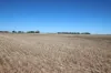 _ Millar Road, Mitiamo VIC 3573-Image