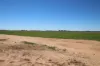 _ Millar Road, Mitiamo VIC 3573-Image