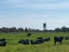 _ Restdown Road, Echuca West VIC 3564-Image