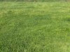 _ Restdown Road, Echuca West VIC 3564-Image