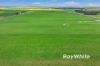 _ Restdown Road, Echuca West VIC 3564-Image