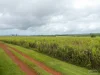 Address available on request, Bamboo Creek, Qld 4860