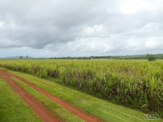 Address available on request, Bamboo Creek, Qld 4860