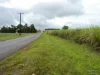 Address available on request, Bamboo Creek, Qld 4860-Image