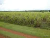 Address available on request, Bamboo Creek, Qld 4860-Image