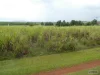 Address available on request, Bamboo Creek, Qld 4860-Image