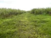 Address available on request, Bamboo Creek, Qld 4860-Image