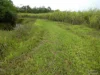 Address available on request, Bamboo Creek, Qld 4860-Image