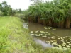 Address available on request, Bamboo Creek, Qld 4860-Image