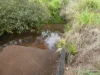 Address available on request, Bamboo Creek, Qld 4860-Image