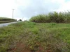 Address available on request, Bamboo Creek, Qld 4860-Image