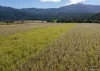 Address available on request, Bellenden Ker, Qld 4871-Image