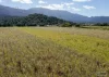 Address available on request, Bellenden Ker, Qld 4871-Image