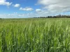 Address available on request, Kadina, SA 5554-Image