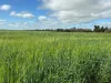 Address available on request, Kadina, SA 5554-Image