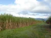 Address available on request, Midgenoo, Qld 4854